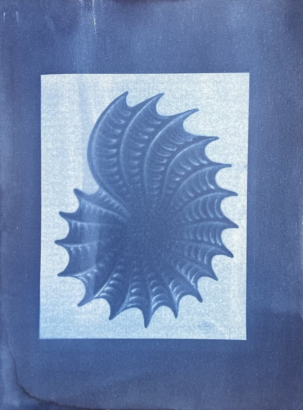 Natural Dyes: Cyanotype Printing