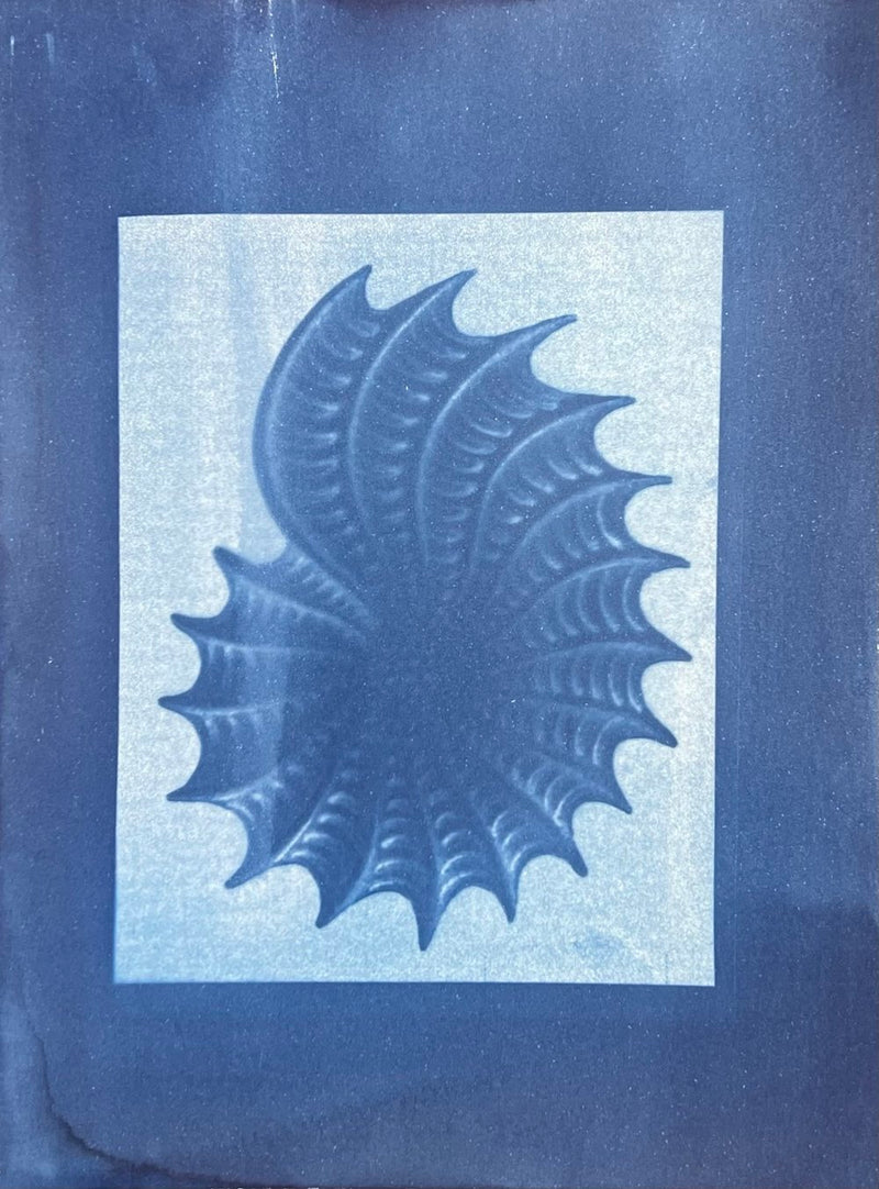 Natural Dyes: Cyanotype Printing