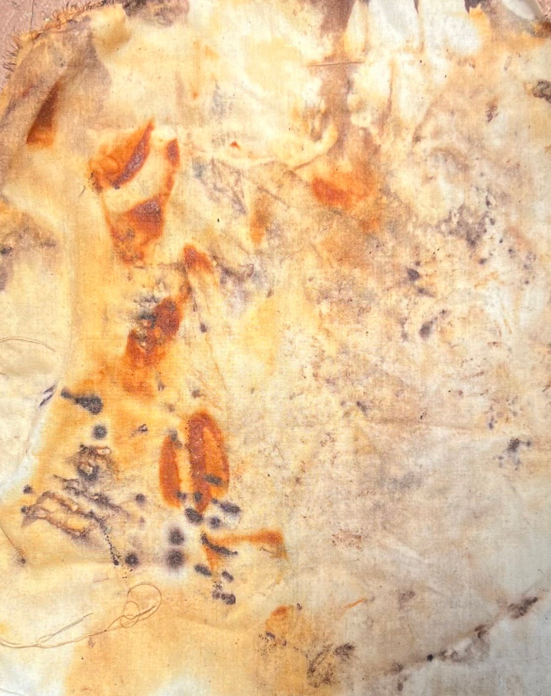 Natural Dyes: Rust