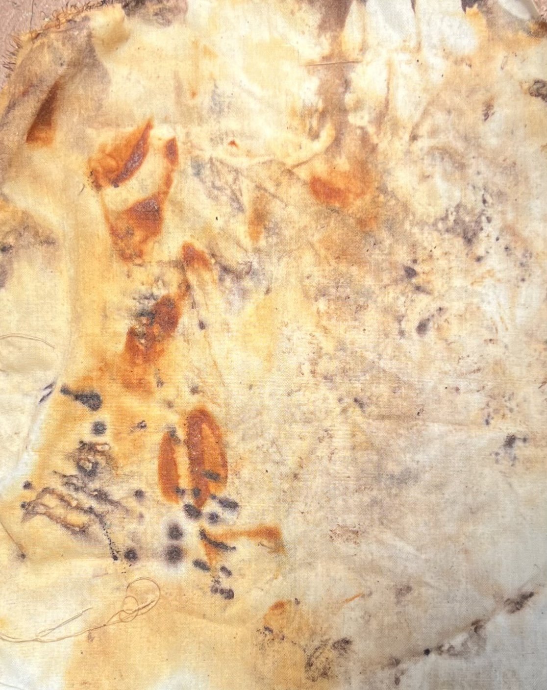 Natural Dyes: Rust